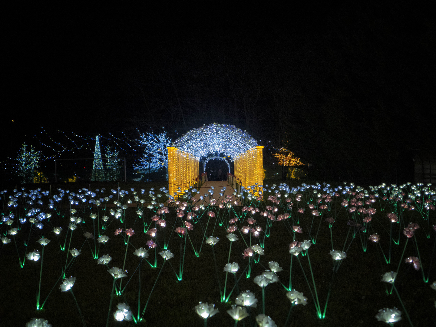 Nel parco delle Lucine di Natale, Leggiuno