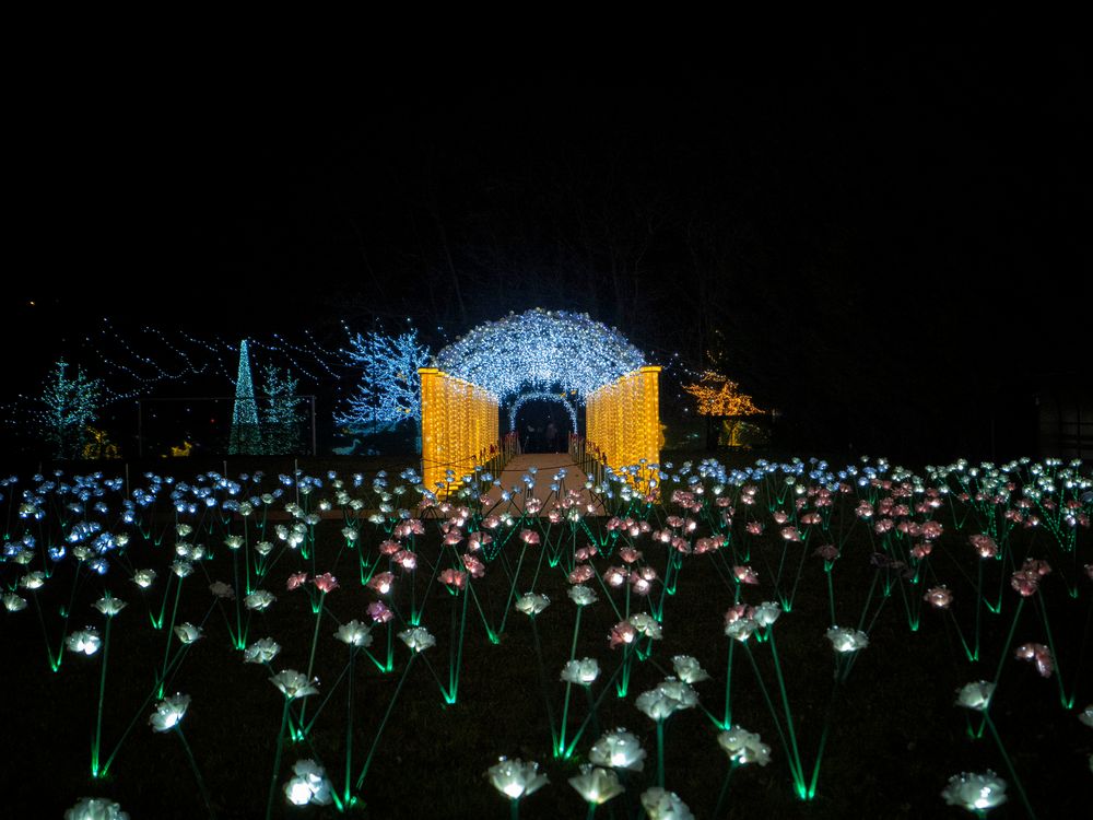 Nel parco delle Lucine di Natale, Leggiuno