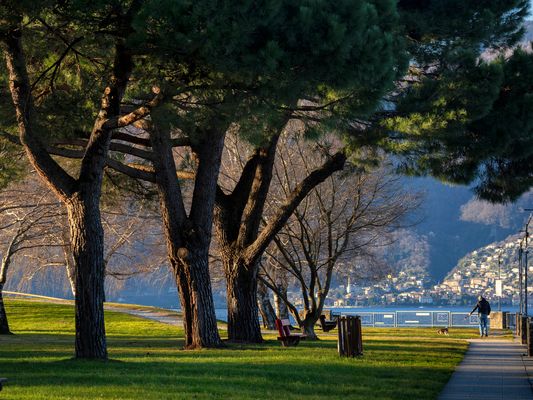 Nel Parco di Germignaga