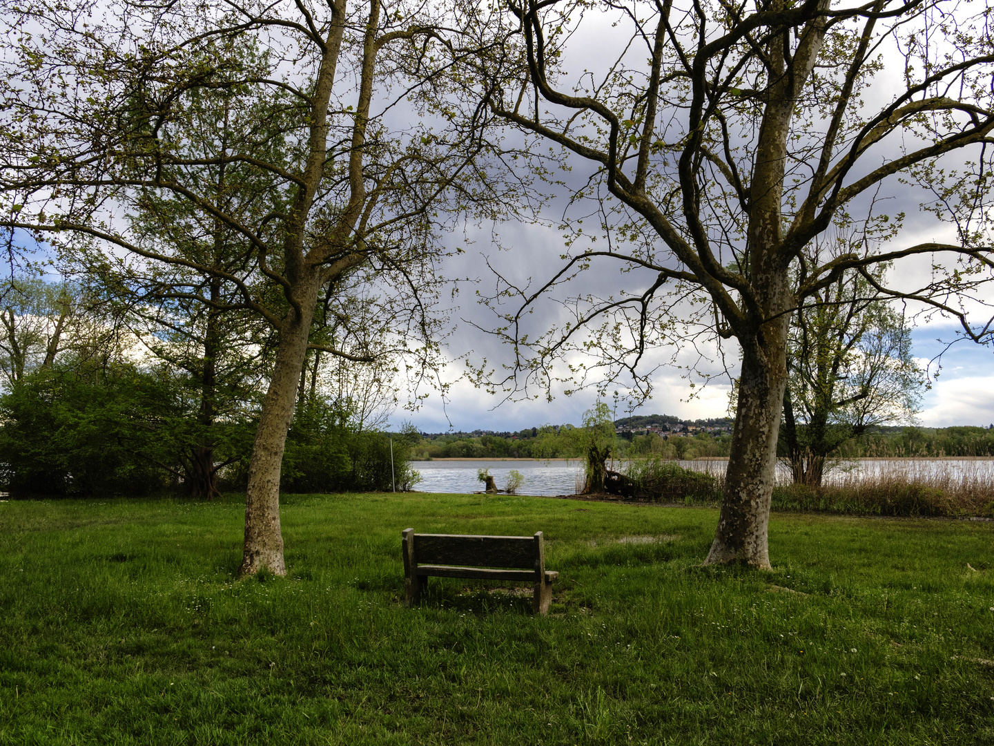 Nel parco Zanzi