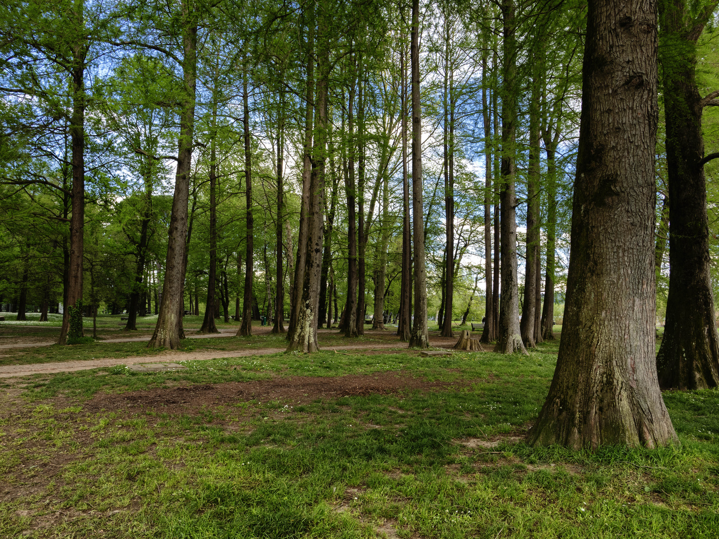 Nel parco Zanzi