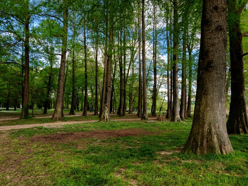 Nel parco Zanzi