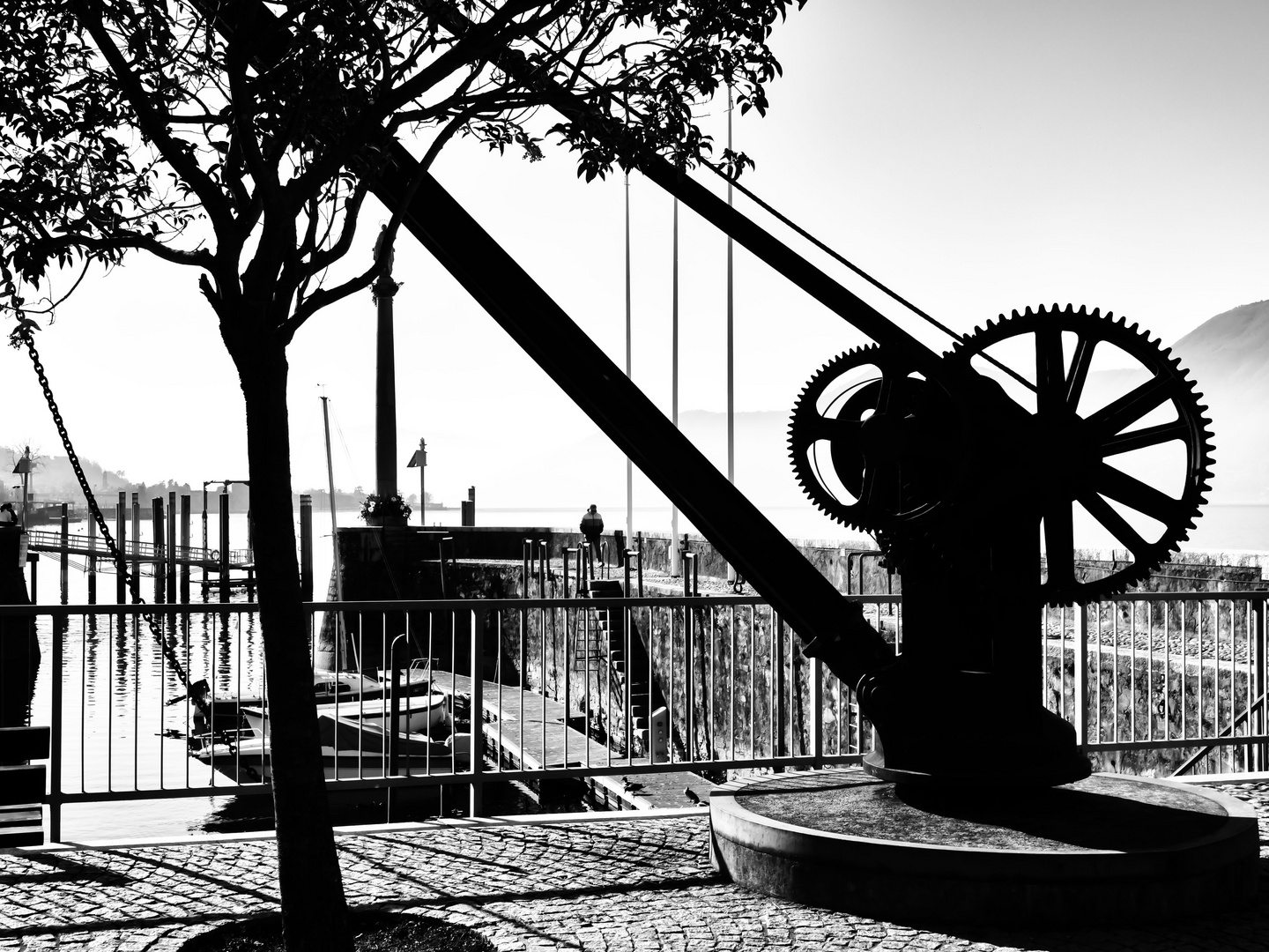 Nel porto comunale di Luino