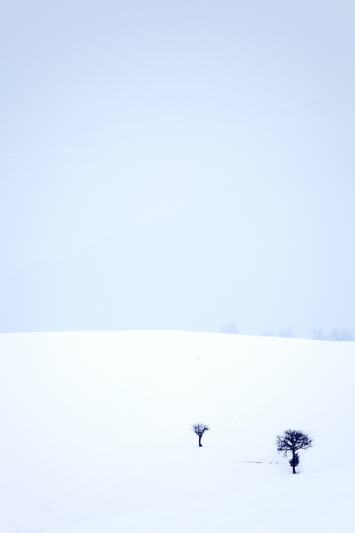 Nel silenzio