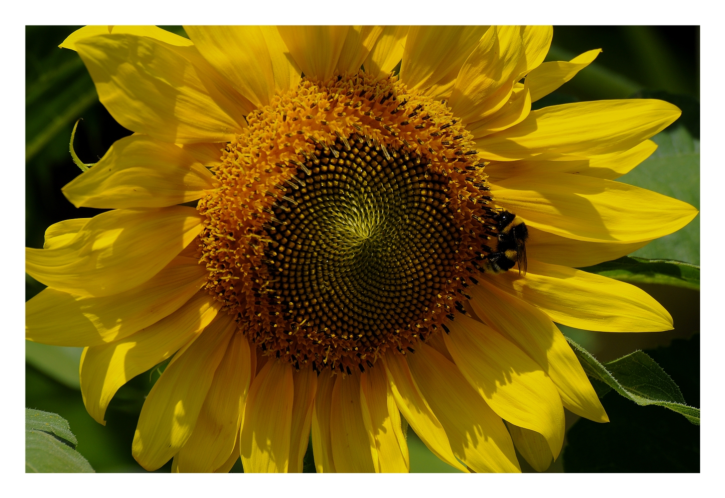 Nel sole...