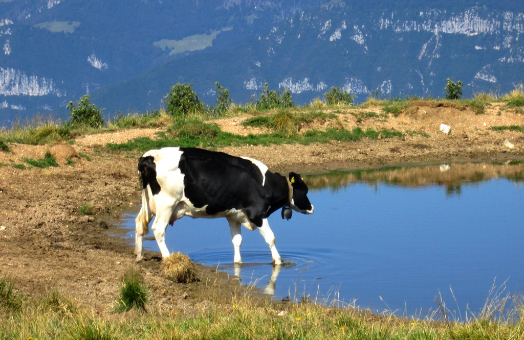 nel suo mondo