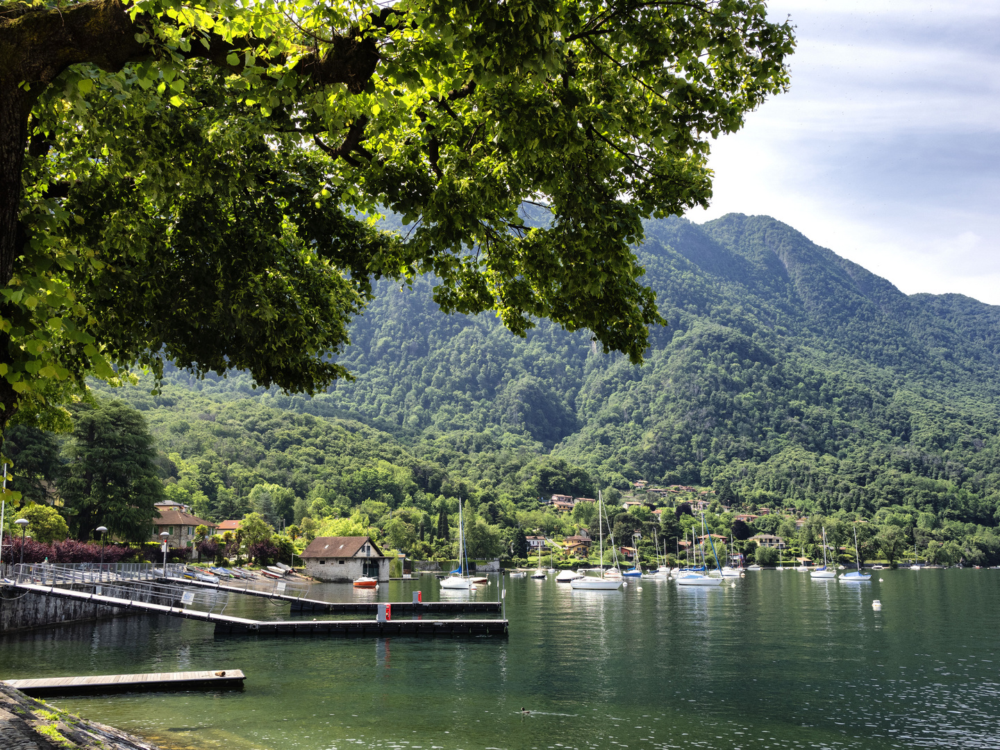 Nel verde di Caldè