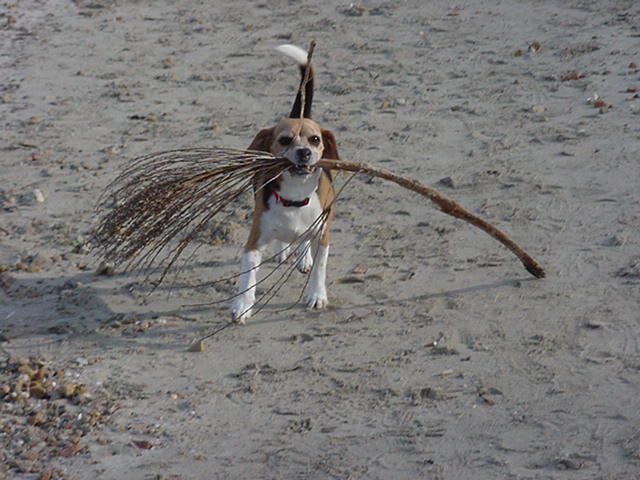 neli bei uns am strand