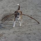 neli bei uns am strand