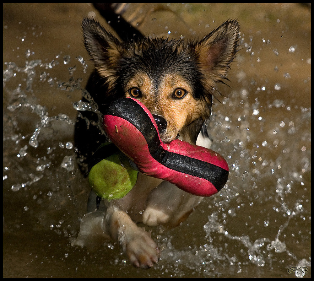 Nell macht ihren Freischwimmer