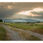 Nella campagna toscana....