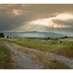 Nella campagna toscana....