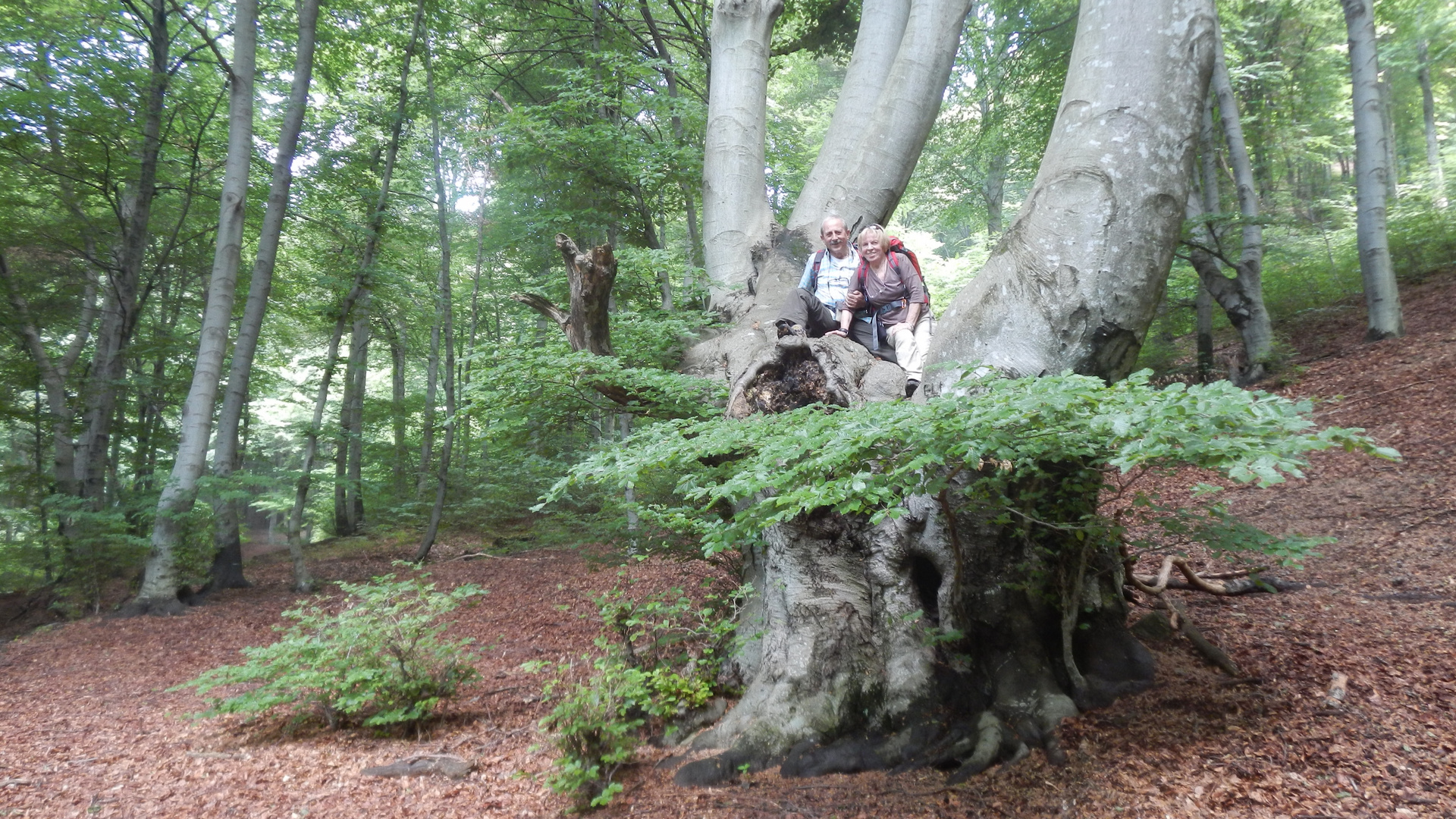 Nella Foresta di Brè!!!Svizzera ( con mio marito Max)