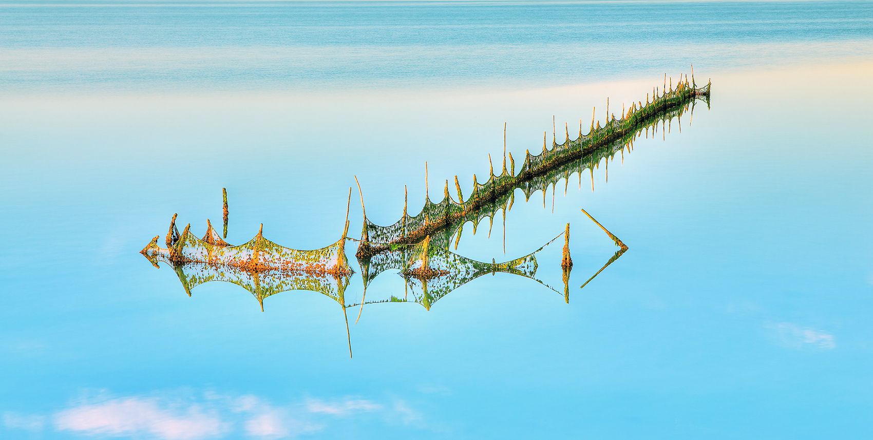 nella laguna di Chioggia