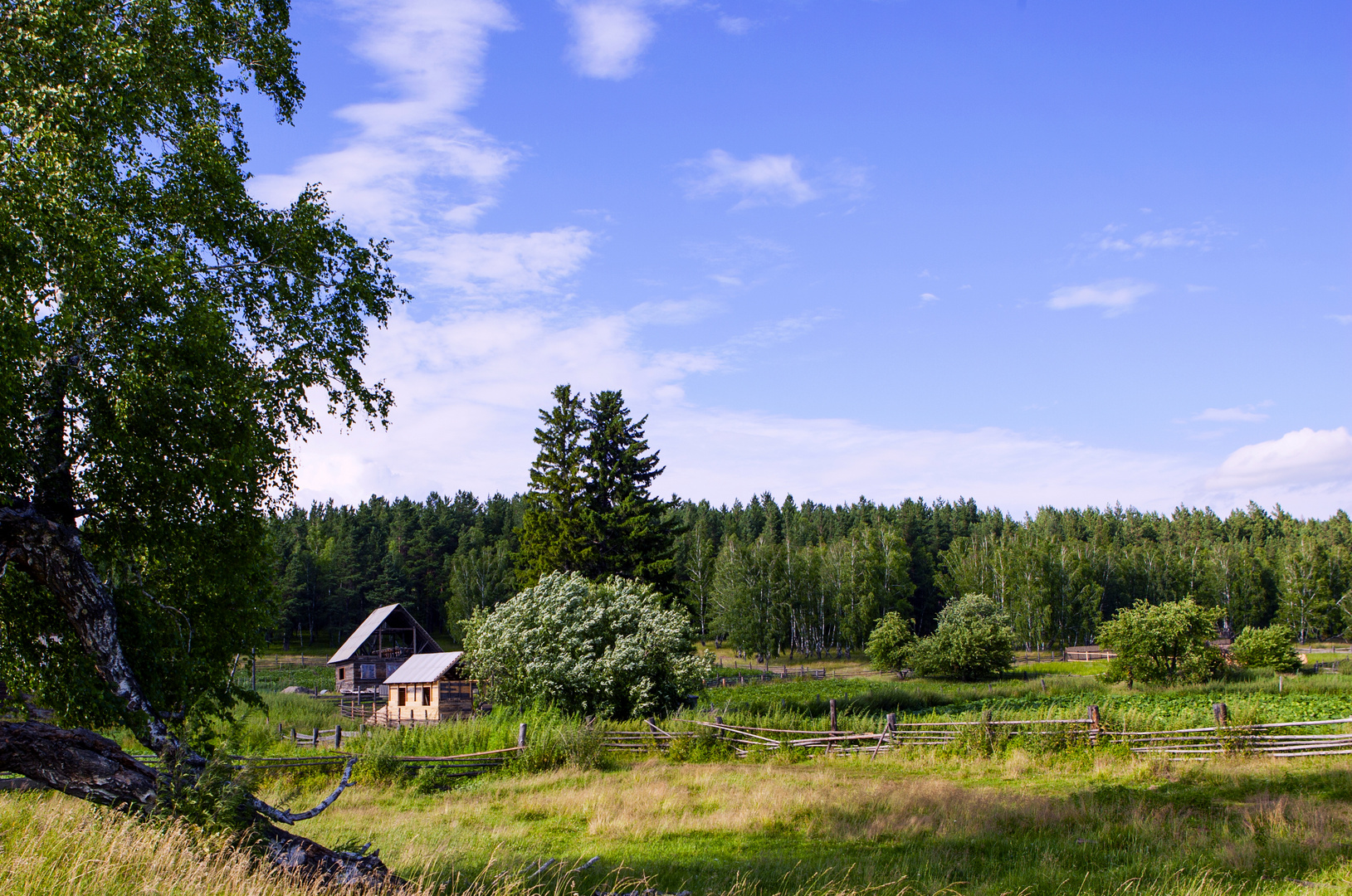 Nella lontana Taiga