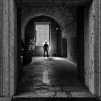 Nella luce del Museo