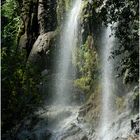 nella natura