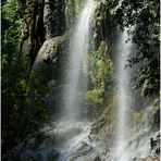 nella natura