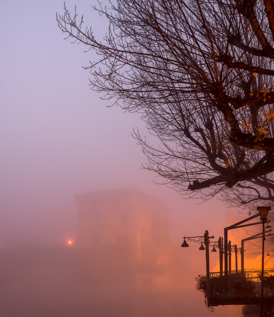 Nella nebbia 2