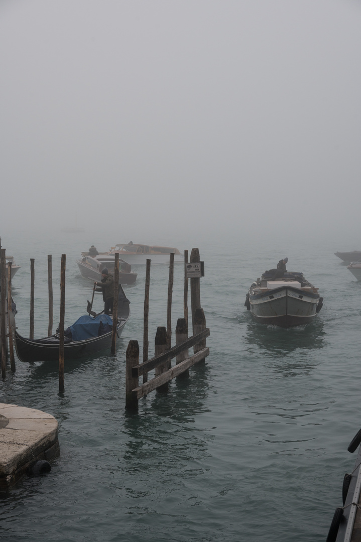 nella nebbia