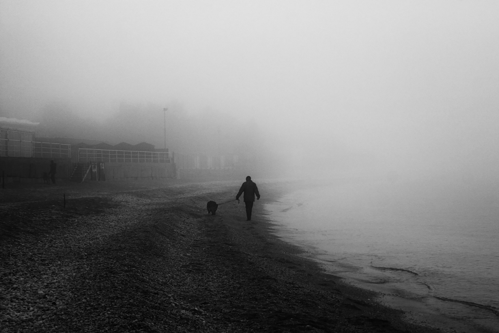 Nella nebbia.