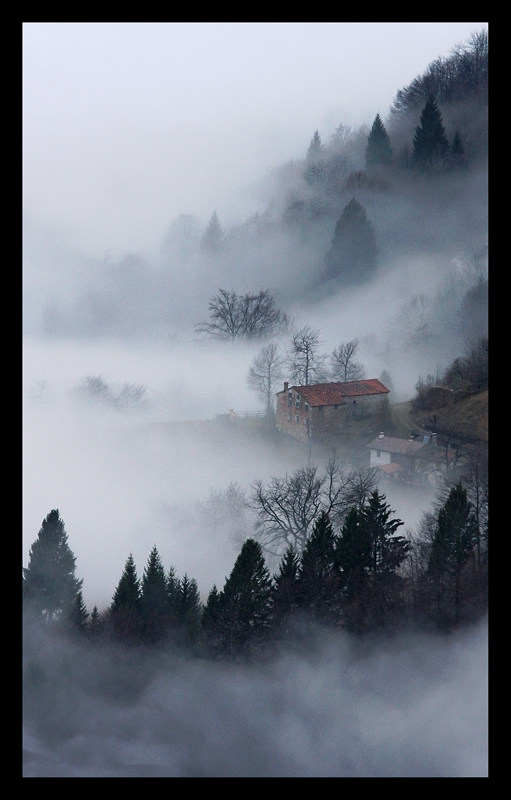 Nella nebbia