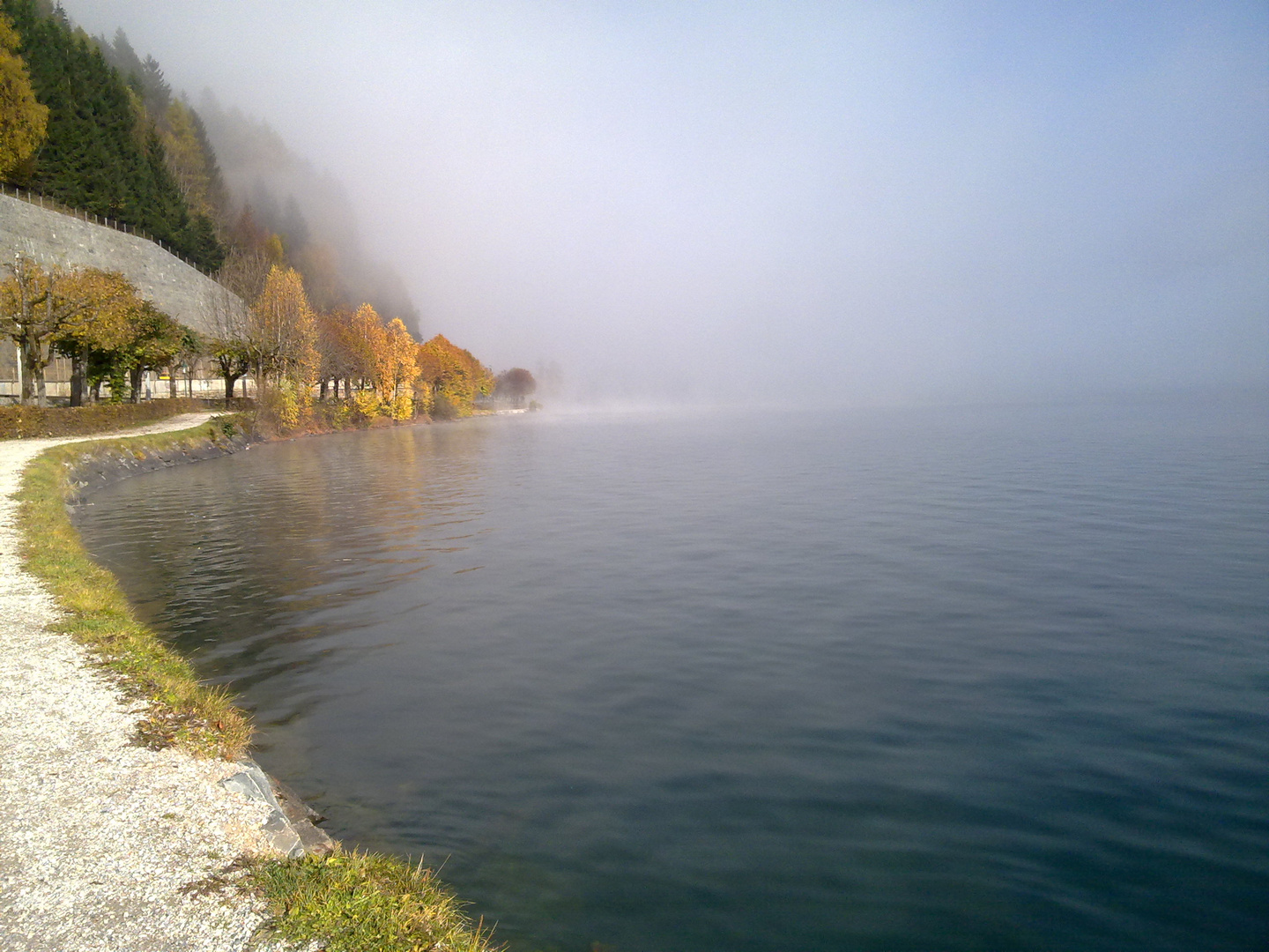 Nella nebbia