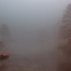 Nella nebbia