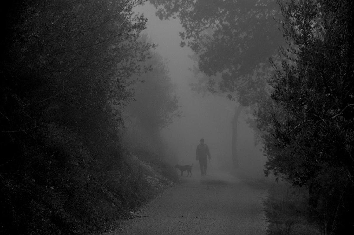 nella nebbia