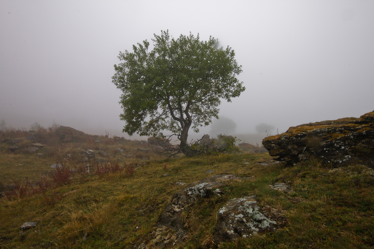 Nella nebbia alpina