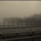 nella nebbia sul Po....