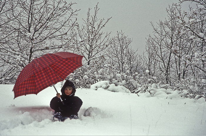 nella neve