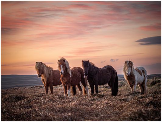 nella notte Islandese ..che non c'è