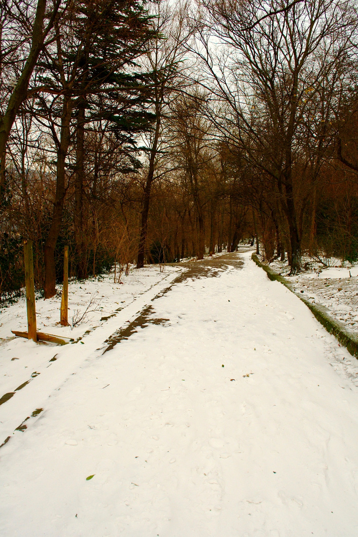 NELLA QUIETE DELL'INVERNO...