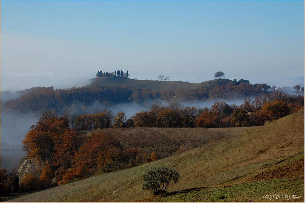 Nella San Giovanni D'Asso