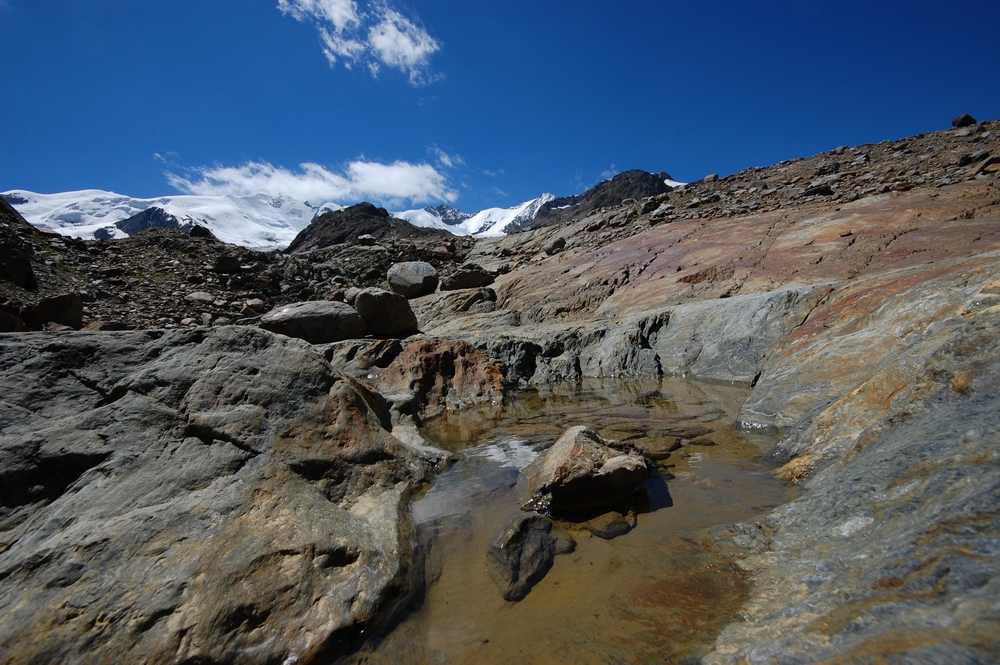 Nella Valle dei Forni (2)