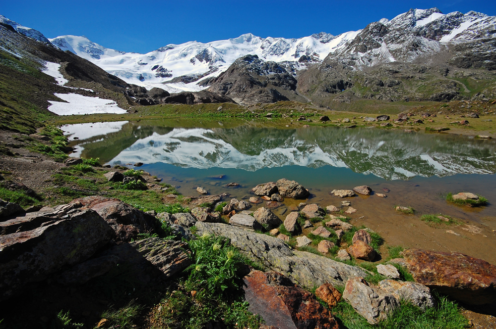 Nella Valle dei Forni (2)