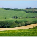 Nelle crete senesi