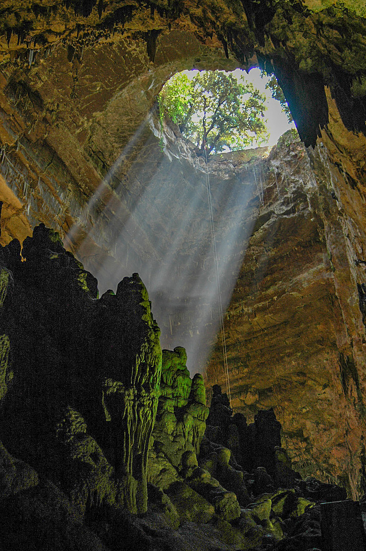 nelle grotte di Castellana (It.)