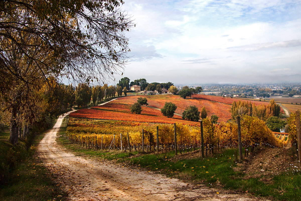 nelle terre del sagrantino