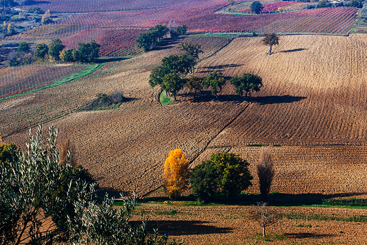 nelle terre del sagrantino