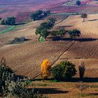 nelle terre del sagrantino