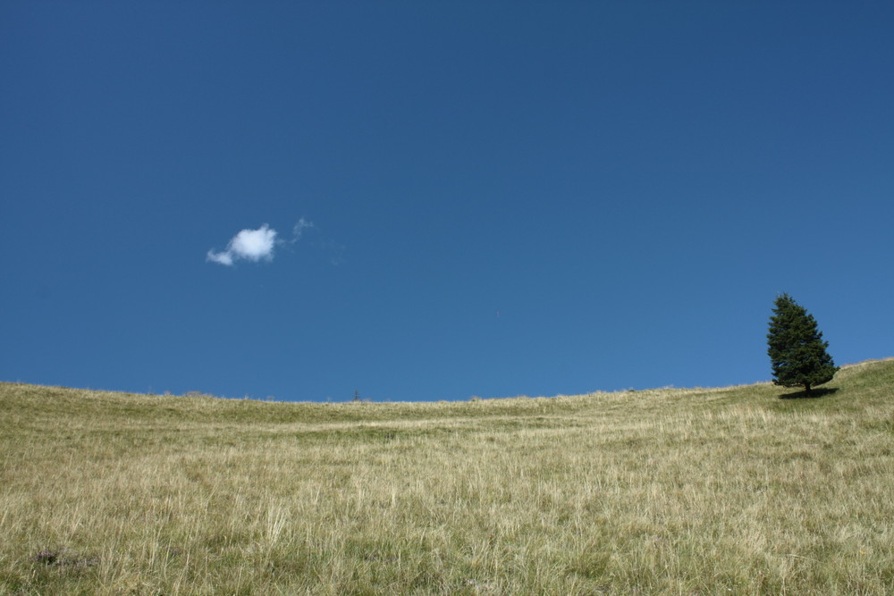 nelle vicinanze del Passo del Col di Luna (Forcelle Aurine)