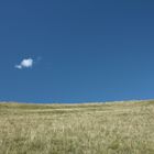 nelle vicinanze del Passo del Col di Luna (Forcelle Aurine)