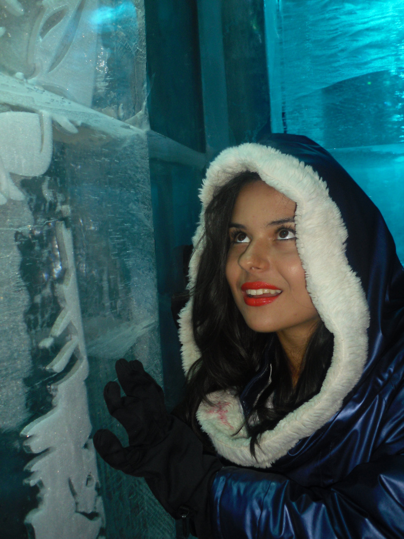 Nell'icebar a Stockholma