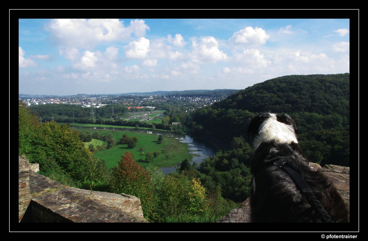 Nelly auf der Isenburg 01