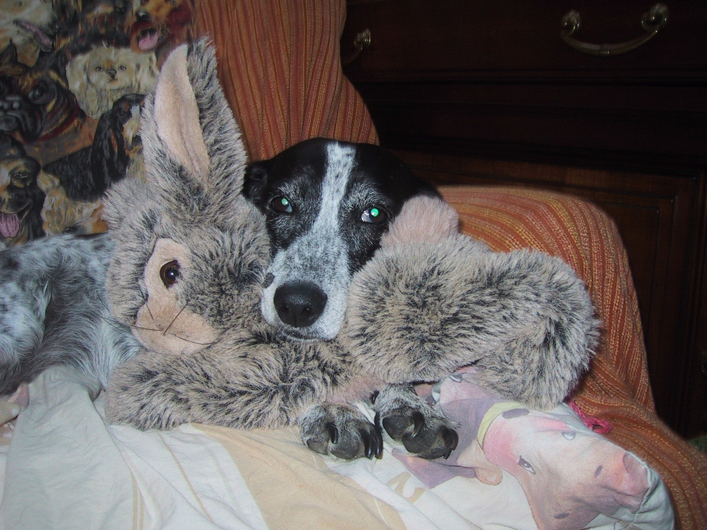 Nelly et son pinou