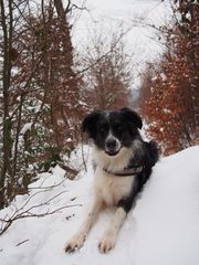 Nelly im Schnee