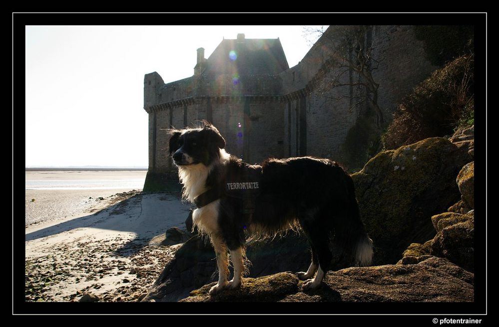 Nelly und der Mont St. Michel 01