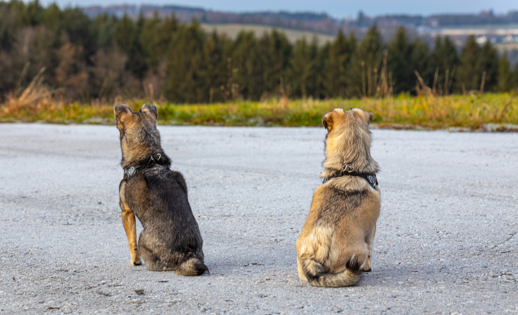 Nelly und Lotti 2